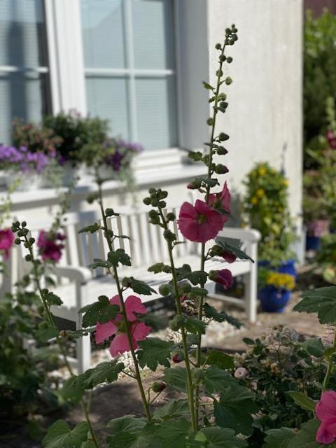 Hotel Waldperle