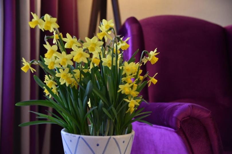 Waldperle Hotel 3*